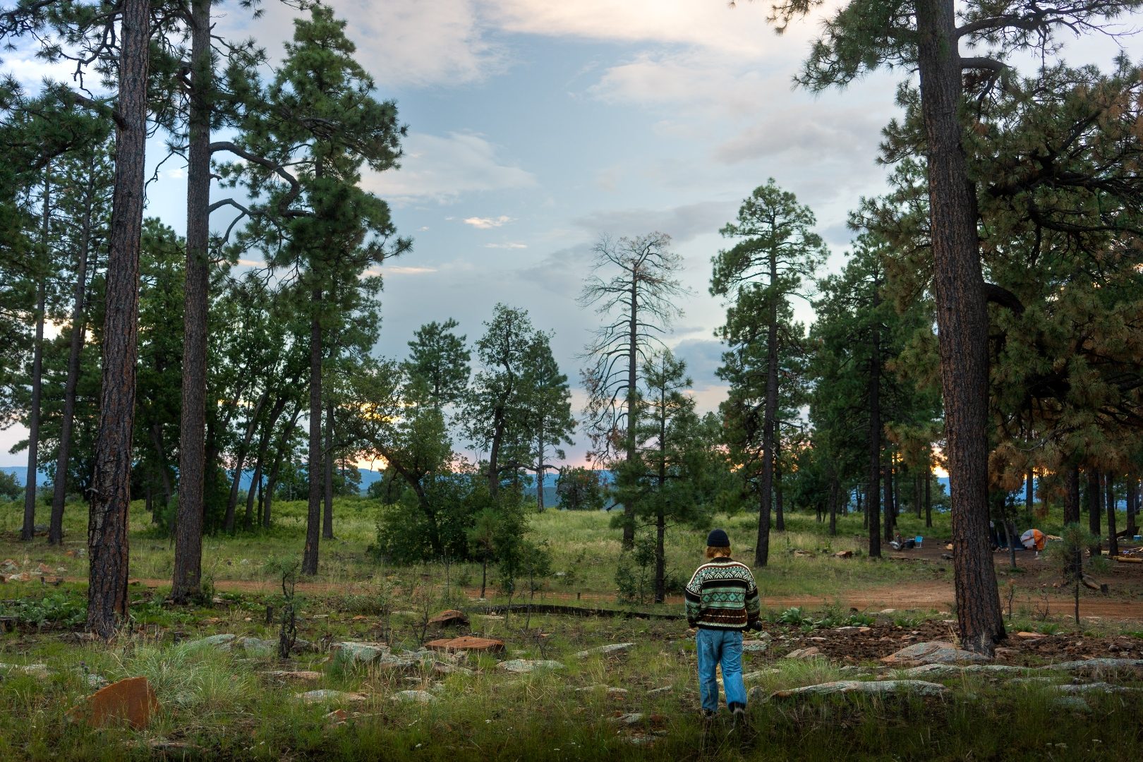 Weston Christensen, Phoenix real estate photographer, walking through the Arizona high country pines